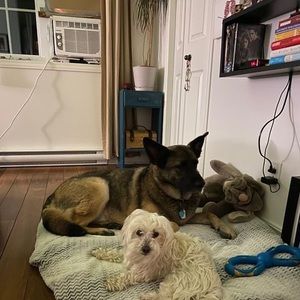 Meet your Posher, Catherine